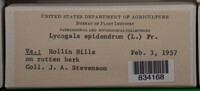 Image Associated With the Occurence